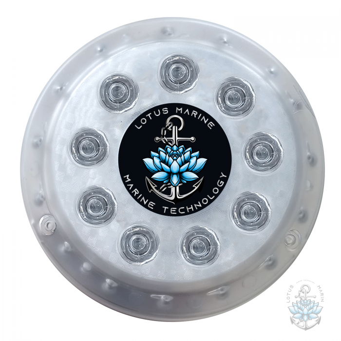 #UnderwaterLighting #LEDUnderwater #UnderwaterLEDLights #OceanLighting #AquariumLED #SubmersibleLED #UnderwaterIllumination #MarineLighting #LEDSeaLights #WaterproofLED #UnderwaterGlow #DeepSeaLED #UnderwaterLuminance #LEDSubmersion #DiveLighting #LEDLigh